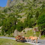 Andorra